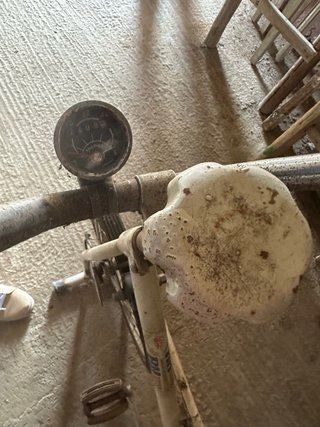 Bicicleta Estática BH Antigua