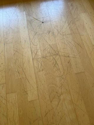 Parquet 100m2
