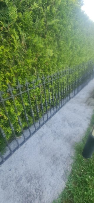 Rejas macizas de hierro de fundicion