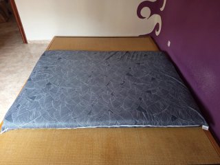 Cama Japonesa Tatami y Futón