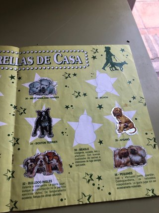 Álbum Bollycao