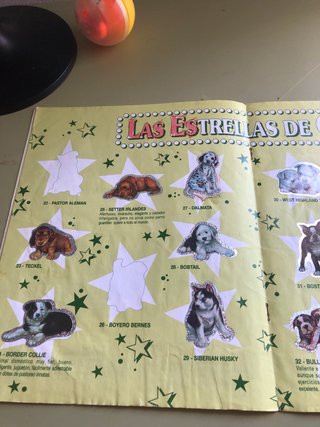 Álbum Bollycao