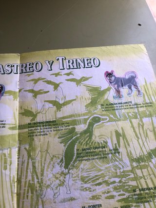 Álbum Bollycao