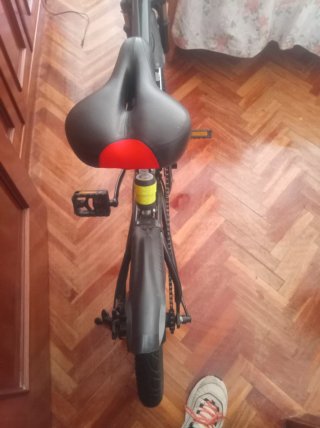 Bicicleta Eléctrica Plegable Ess Watt