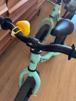 2 Bicis de equilibrio Sawyer Mint