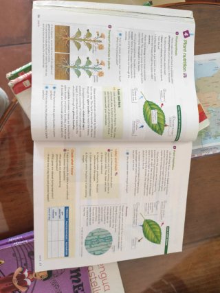 Natural Science, 5 Primary Education Active Class