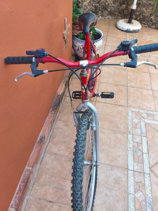 Bicicleta JL Bike's Wenti MTB 650