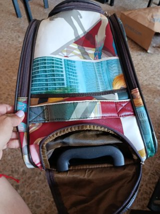 Bolsa de viaje con ruedas