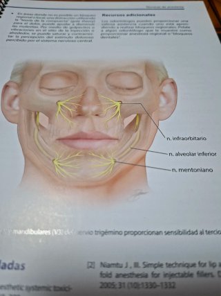 Medicina estetica en tecnicas de inyección