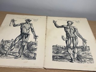 Espectacular Antiguo tavularum corporis