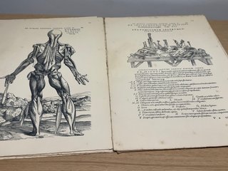 Espectacular Antiguo tavularum corporis