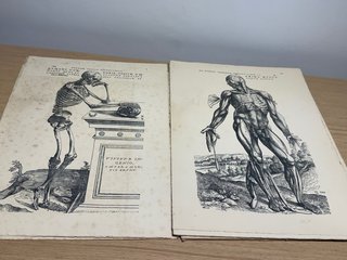 Espectacular Antiguo tavularum corporis
