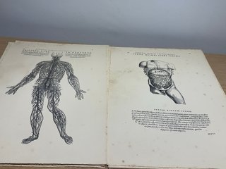 Espectacular Antiguo tavularum corporis