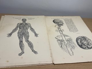 Espectacular Antiguo tavularum corporis