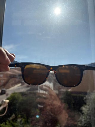 Gafas de sol Ray-Ban Wayfarer Tortoise/Brown 54