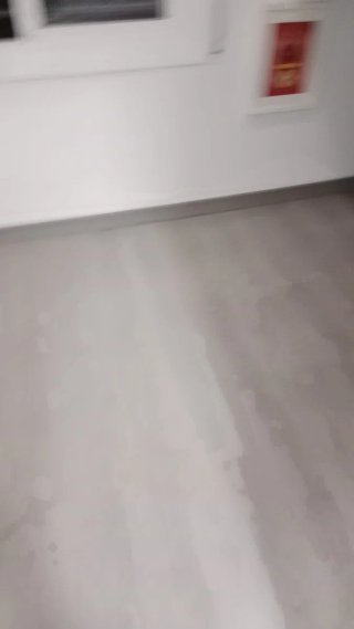 Servicios de parquet y pintura
