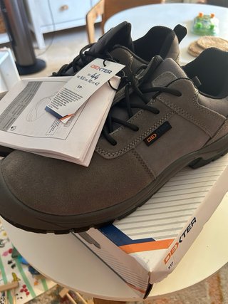 Zapatos de seguridad Dexter Talla 44