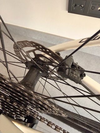 Megamo Factory Carbono
