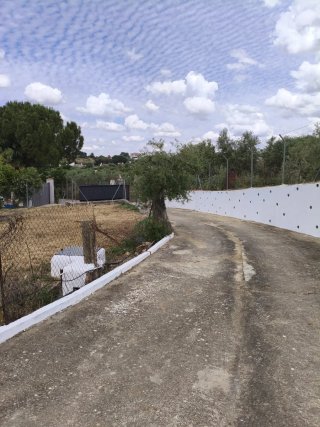 Chalet con piscina en Olvera, Cádiz.