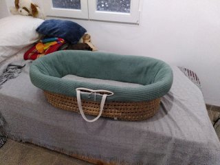 Moisés de mimbre con fund verde.