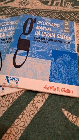 Diccionario Manual da lingua galega