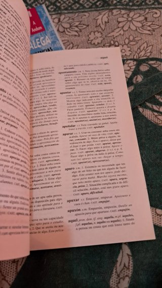 Diccionario Manual da lingua galega