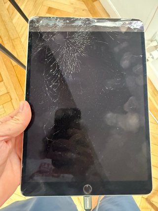 iPad Pro 10.5 256GB Gris Espacial Wifi+Celular