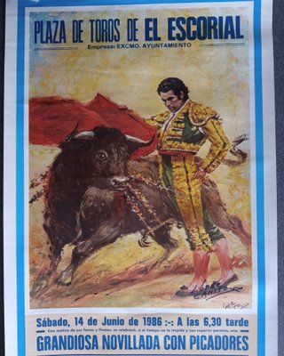 Lote Carteles Toros