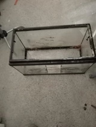 Pecera grande de cristal