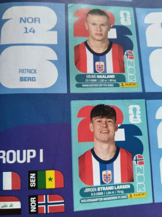Álbum Mundial 2026 FIFA Panini