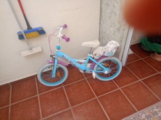 Bicicleta infantil azul y morada