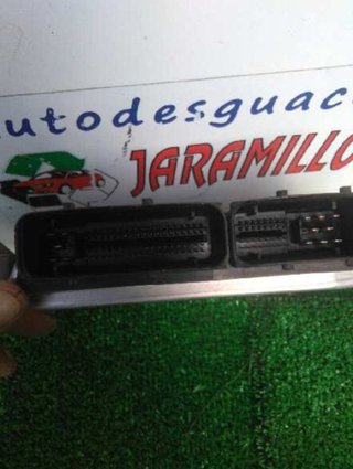 Centralita motor uce 038906019kt seat ibiza 172296