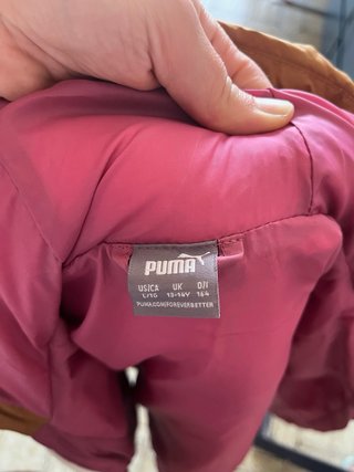 Abrigo Puma