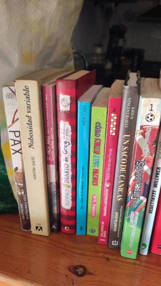 Lote libros juveniles