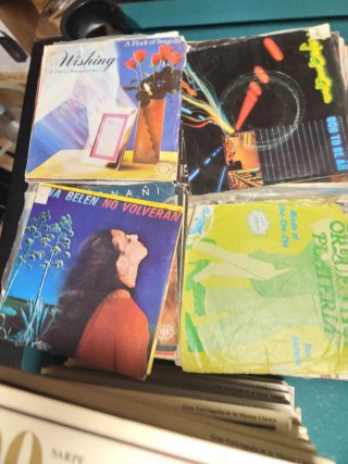 Lote Vinilos Clásicos y Ópera