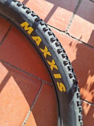Cubierta Maxxis Larsen TT 26x2.0