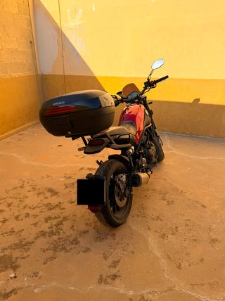 Benelli Leoncino 500 Roja 2019