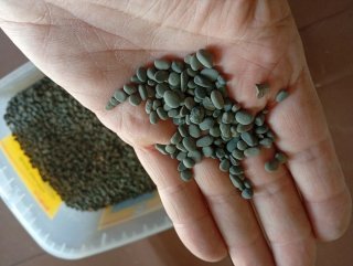 Grava para acuario SERA Antracita 5,5 l.