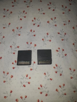 Nintendo DS Madagascar y Brain Training