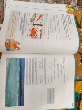 14 Libros de tercero de primaria