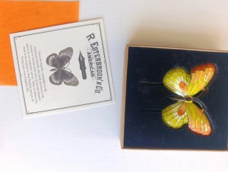Mariposa sujetapáginas Esterbrook y otros