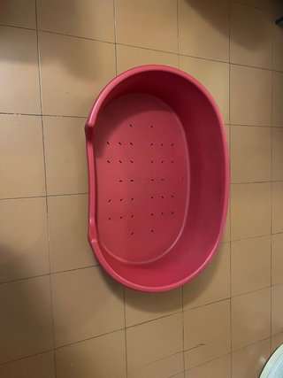 Cama Perro Plástico Rígido Roja 78 cm x 50 cm