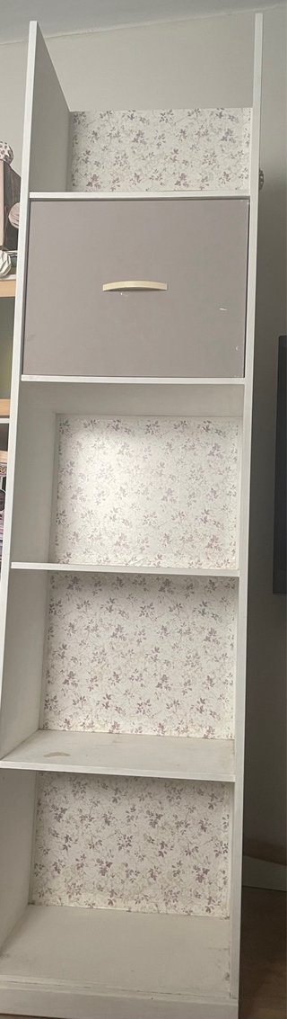 Estantería blanca con puerta pintada a mano