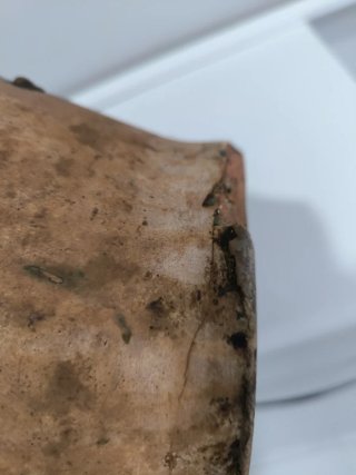 Mielera antigua Zaragoza