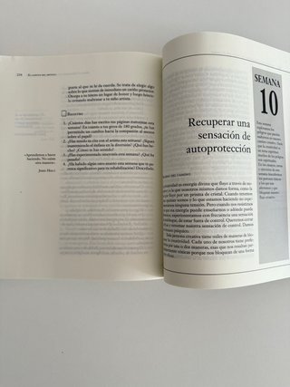 Libro El camino del artista