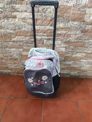 Mochila con ruedas y asa extensible