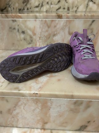 Zapatillas Nike Running Mujer Rosa/Plata