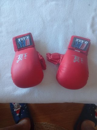 Protecciones Karate Ikara Casco y Guantes