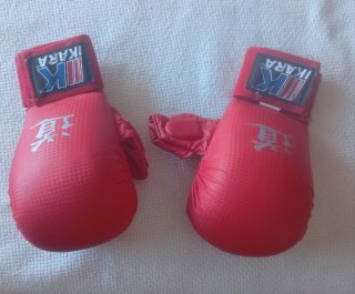 Protecciones Karate Ikara Casco y Guantes