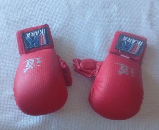 Protecciones Karate Ikara Casco y Guantes
